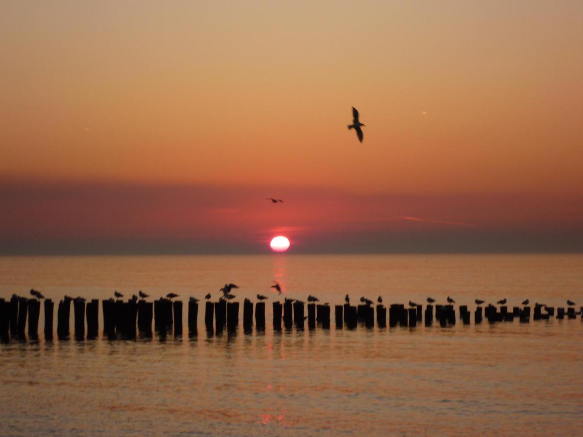 Vakantiewoning Domburg Do31 Экстерьер фото